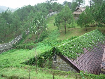 Houses in garden in Da Lat (Photo:KK) Houses in garden in Da Lat (Photo:KK)