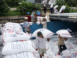 Exports remain on course to hit target ảnh 1 Exports remain on course to hit target ảnh 1