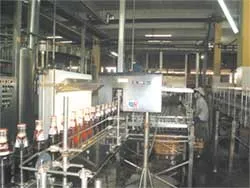 Chương Dương với chiến lược đa dạng hóa sản phẩm