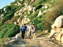 Bùng nổ open tour ảnh 2