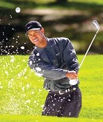 5 vận động viên nam giàu nhất thế giới ảnh 3