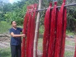 Năn, lác “lên ngôi”