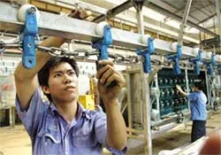 Chế tạo dây chuyền giết mổ gà, vịt 700-1.000 con/giờ