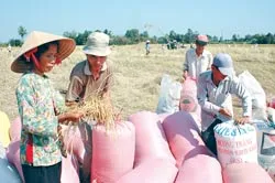 Thuận lợi 3 mặt: Thị trường, nhu cầu và giá cả ảnh 2 Thuận lợi 3 mặt: Thị trường, nhu cầu và giá cả ảnh 2