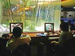 Kinh nghiệm  “quản” game online ở các nước