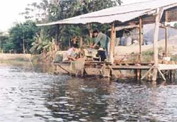 ĐBSCL: “Sốt” đất nuôi cá tra, ba sa