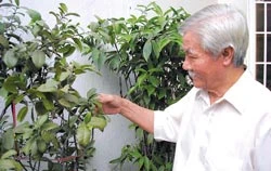 CỰU TUYỂN THỦ NGUYỄN NGỌC THANH: “TÔI RẤT MONG VIỆT NAM VÔ ĐỊCH AFF CUP LẦN NÀY” ảnh 2 CỰU TUYỂN THỦ NGUYỄN NGỌC THANH: “TÔI RẤT MONG VIỆT NAM VÔ ĐỊCH AFF CUP LẦN NÀY” ảnh 2