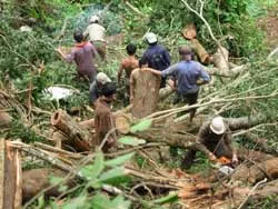 Tiền có bù được sự tổn thất?