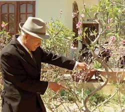 Đà Lạt: Hoa đào nở đúng Tết, được giá