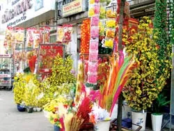 Thấp thoáng dáng xuân