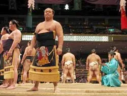Nghi án dàn xếp tỷ số trong làng vật Sumo ảnh 1 Nghi án dàn xếp tỷ số trong làng vật Sumo ảnh 1