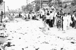 Đi xem lễ hội Giao thừa