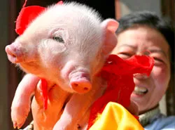 Đó đây