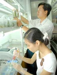 Phát triển 4 ngành mũi nhọn