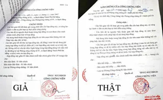 Trần Thái Vũ là chủ mưu hay mắt xích? ảnh 2 Trần Thái Vũ là chủ mưu hay mắt xích? ảnh 2