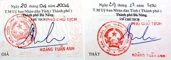 Trần Thái Vũ là chủ mưu hay mắt xích?