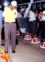 Trại nuôi gà sạch tự động hóa Đầu tiên tại Việt Nam