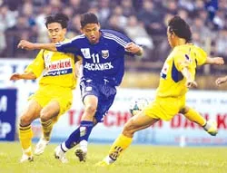 Lạ lùng Bình Dương! ảnh 1 Lạ lùng Bình Dương! ảnh 1