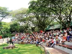 Bài học gìn giữ môi trường