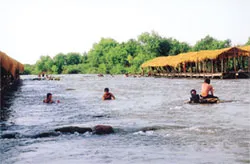 Xem cá heo ở Kratie
