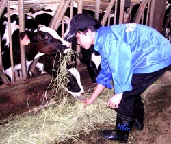 Khu nông nghiệp công nghệ cao TPHCM (AHTP)
