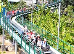Chơi... lễ một ngày