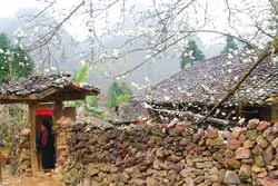 Mùa hoa Tây Bắc