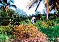 8 năm, hơn 30 con dấu vẫn chưa xong ảnh 1 8 năm, hơn 30 con dấu vẫn chưa xong ảnh 1