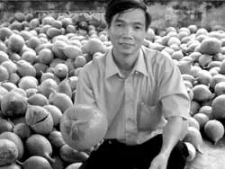 Tiến sĩ gấc và cuộc chinh phục loại quả đến từ thiên đường