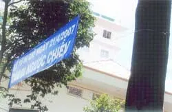 Quản lý cây xanh, lại đóng đinh cây xanh