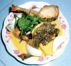 Ếch um lá nhàu