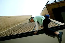 “Người nhện” xuất hiện ở Đức