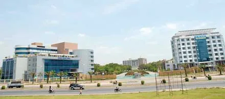 Quận 12: Không còn nông nghiệp