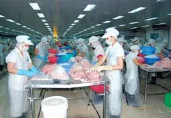 Chủ động nguyên liệu tạo sức cạnh tranh