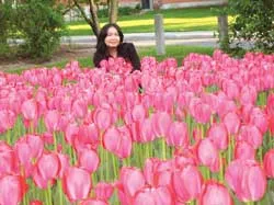 Mùa xuân Montreal và chút nắng vàng quê hương... ảnh 2 Mùa xuân Montreal và chút nắng vàng quê hương... ảnh 2