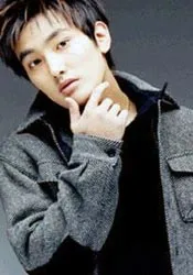 Sao Hàn giữa trời Việt ảnh 2