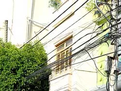 Lùm cây bao vây lưới điện ảnh 3 Lùm cây bao vây lưới điện ảnh 3