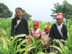 Khơi nước, làm giàu trên đỉnh núi