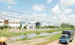 Điều chỉnh quy hoạch khu công nghiệp Tân Thới Hiệp và Tân Phú Trung