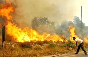 Cháy rừng ở Hy Lạp: Ban bố tình trạng khẩn cấp