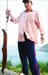 Săn chình biển