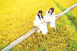 Nghệ sĩ nhiếp ảnh Nguyễn Á ảnh 2