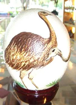 Phủ xanh làng cát nhờ... đà điểu