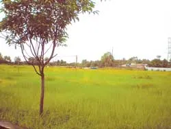 Thi công ì ạch