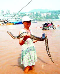 Đó đây