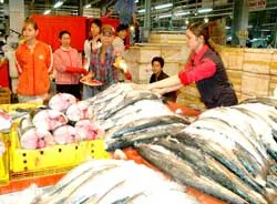 Tập trung vốn đầu tư chợ đầu mối phía Nam