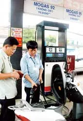 Hàng hóa nhập khẩu tăng: Giá sẽ thôi “nhảy múa”? ảnh 2 Hàng hóa nhập khẩu tăng: Giá sẽ thôi “nhảy múa”? ảnh 2