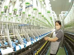 Công ty TNHH Thiên Nam vững vàng bước đường phát triển