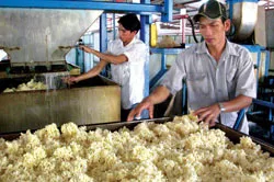 Quan hệ kinh tế Việt Nam- Trung Quốc: Chiến lược với đối tác lớn