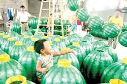 Trung Quốc : Lễ hội lồng đèn dưa hấu